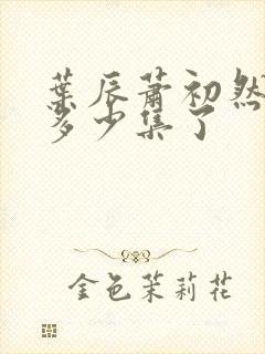 叶辰萧初然更新多少集了