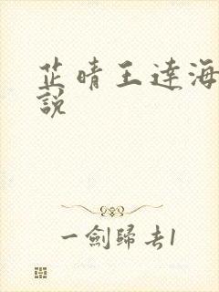 芷晴王达海的小说