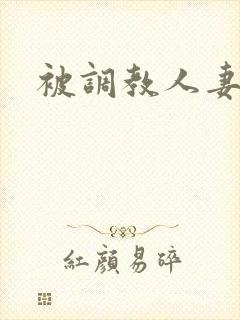 被调教人妻小说封面