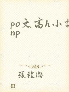 po文高h小说np封面