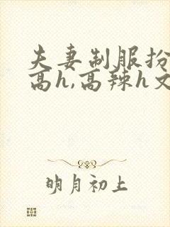 夫妻制服扮演(高h,高辣h文)封面