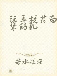 玩弄校花白嫩高耸的乳封面