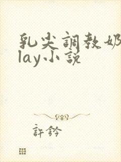 乳尖调教奶头play小说