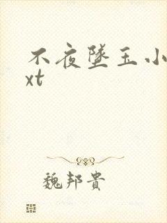 不夜坠玉小说txt