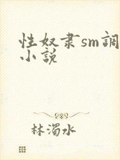 性奴隶sm调教小说