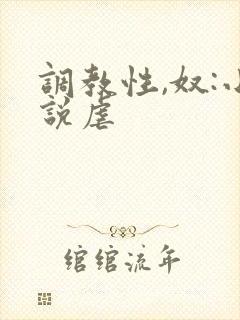 调教性,奴:小说虐