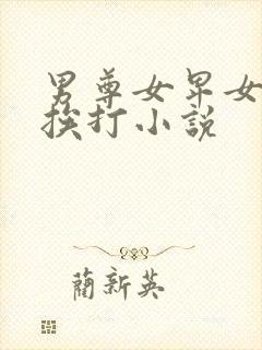 男尊女卑女明星挨打小说封面