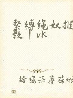 紧缚绳奴捆绑调教丨vk