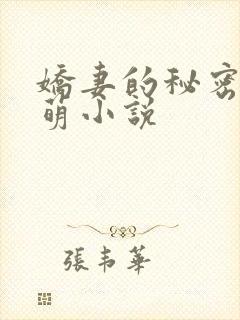 娇妻的秘密苏小萌小说封面