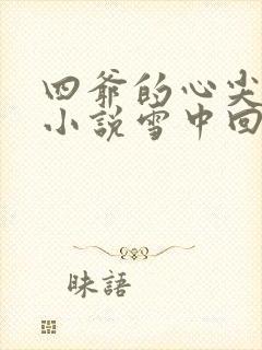 四爷的心尖宠妃小说雪中回眸