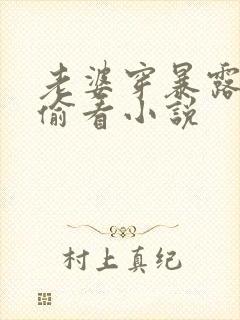 老婆穿暴露别人偷看小说封面