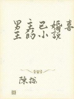 男主已婚喜欢女主的小说