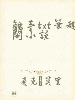 触手txt笔趣阁小说