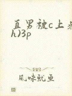 直男被c上瘾(h)3p