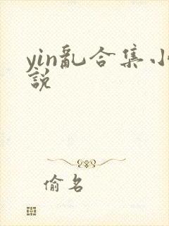 yin乱合集小说封面
