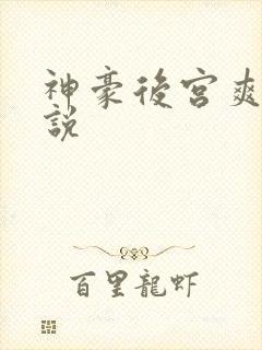 神豪后宫爽文小说