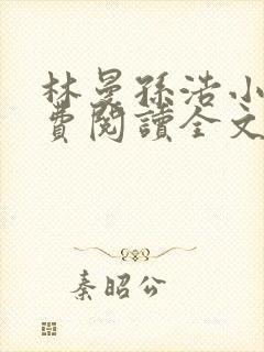 林曼孙浩小说免费阅读全文最新章节