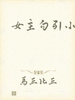 女主勾引小说h封面