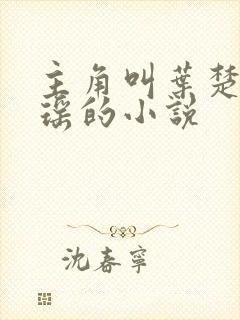 主角叫叶楚姜君瑶的小说