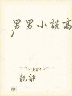 男男小说高(h)