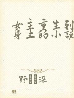 女主重生到别人身上的小说封面