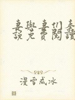 妻与妻们秦岚小说免费阅读最新章节封面