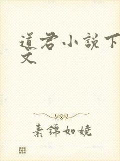 道君小说下载全文