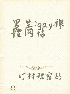 男生:gay裸体网站
