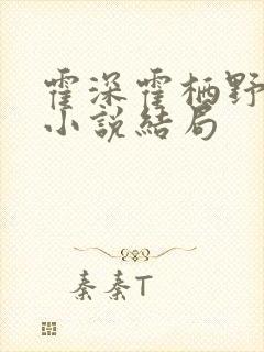 霍深霍栖野夏稚小说结局