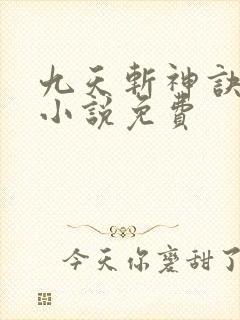 九天斩神诀林辰小说免费