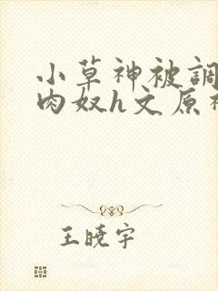 小草神被调教成肉奴h文原神