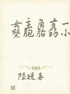 女主角有一对是双胞胎的小说