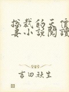 总裁的天价小逃妻小说阅读