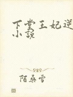 下堂王妃逆袭记小说