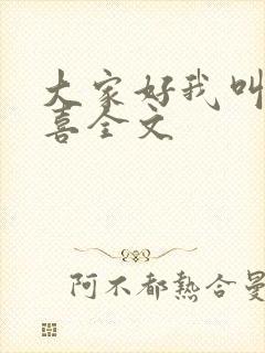 大家好我叫林小喜全文封面