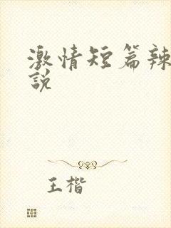 激情短篇辣文小说