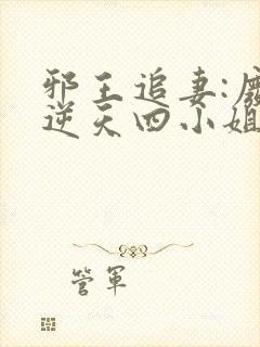 邪王追妻:废材逆天四小姐