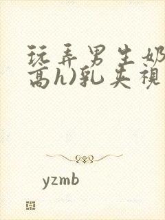 玩弄男生奶头(高h)乳夹视频虐乳小说