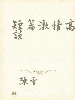 短篇激情高h小说