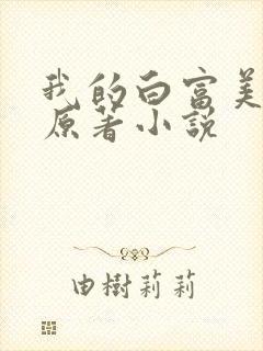 我的白富美老婆原著小说封面