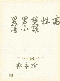 男男双性高h浪荡小说