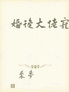 婚后大佬宠封面