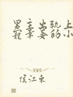 男主出轨上瘾,宠幸妾的小说