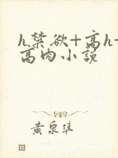 h禁欲+高h+高肉小说