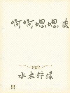 啊啊嗯嗯爽封面