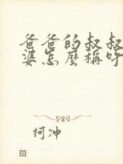 爸爸的叔叔的老婆怎么称呼封面