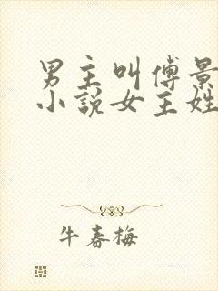 男主叫傅景琛的小说女主姓唐封面