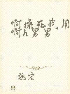 啊操死我用力插啊h男男封面