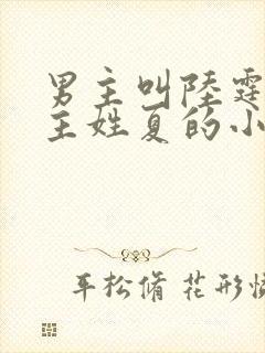 男主叫陆霆琛女主姓夏的小说