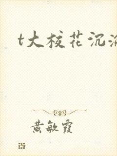 t大校花沉沦封面